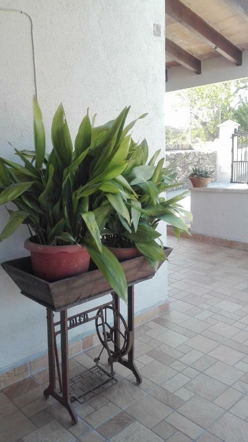 Sa Granja Ferienhaus *