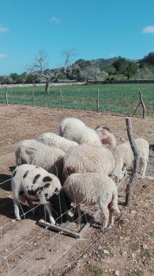 Sa Granja * Arta